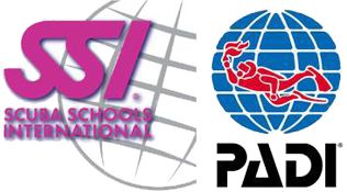 padi logo ssi
